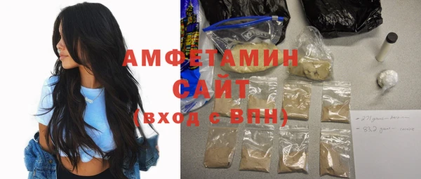 spice Богородицк