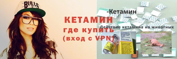 spice Богородицк
