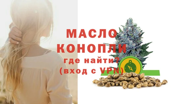 spice Богородицк