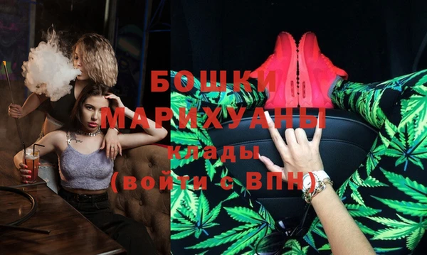 spice Богородицк