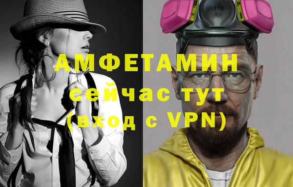 мдпв Богданович