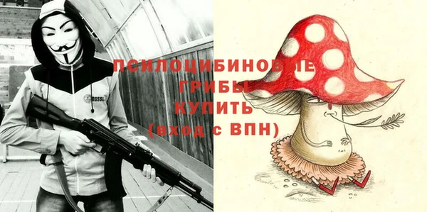 spice Богородицк