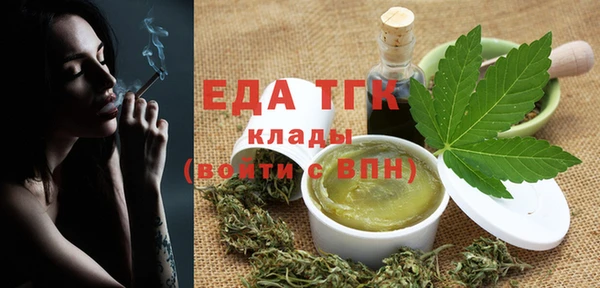 spice Богородицк