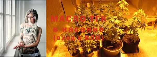spice Богородицк