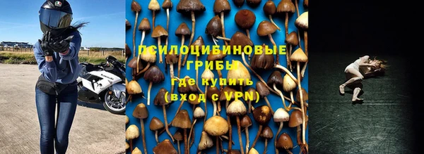 мдпв Богданович
