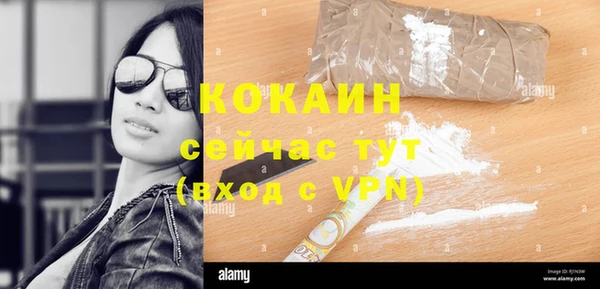 spice Богородицк