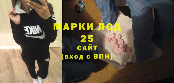 spice Богородицк