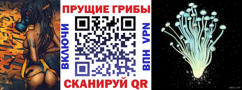 Галлюциногенные грибы MAGIC MUSHROOMS  дарнет шоп  Берёзовка 